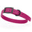 Magenta Pink dog collar with black hardware, made from waterproof biothane, 15 to 18 inches long