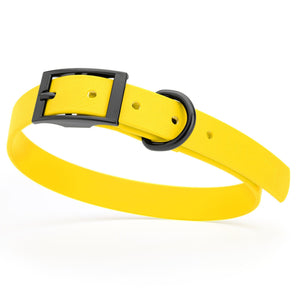 Lemon Yellow waterproof dog collar with black metal buckle and D-ring, made from BioThane, fits medium dogs
