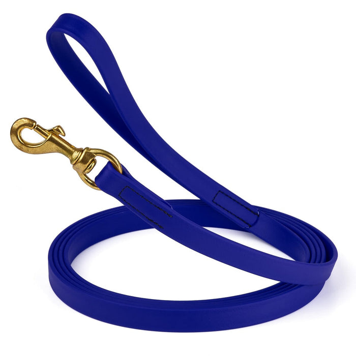 Waterproof Blueberry dog leash with brass clip, made from BioThane, 3/4 inch wide, 33 feet long