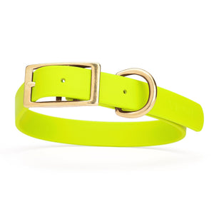 Safety Yellow dog collar with brass hardware, made from waterproof Biothane, 1-inch wide, fits large dogs