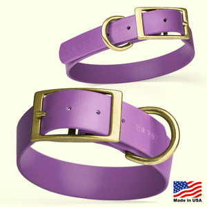 Viper Biothane Waterproof Dog Collar - Brass Hardware - 1.5in Wide - Size XL (20" - 24")