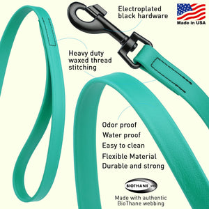 Biothane Waterproof Traffic Lead for Dogs, 2 ft