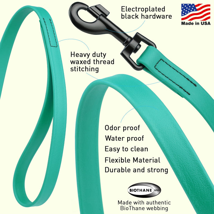 Biothane Waterproof Leash 2 ft