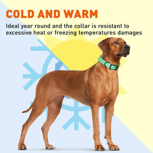 Dogline Biothane Waterproof Dog Collar with Black Hardware -  1.5" Wide, Size XL (20 to 24 inches)