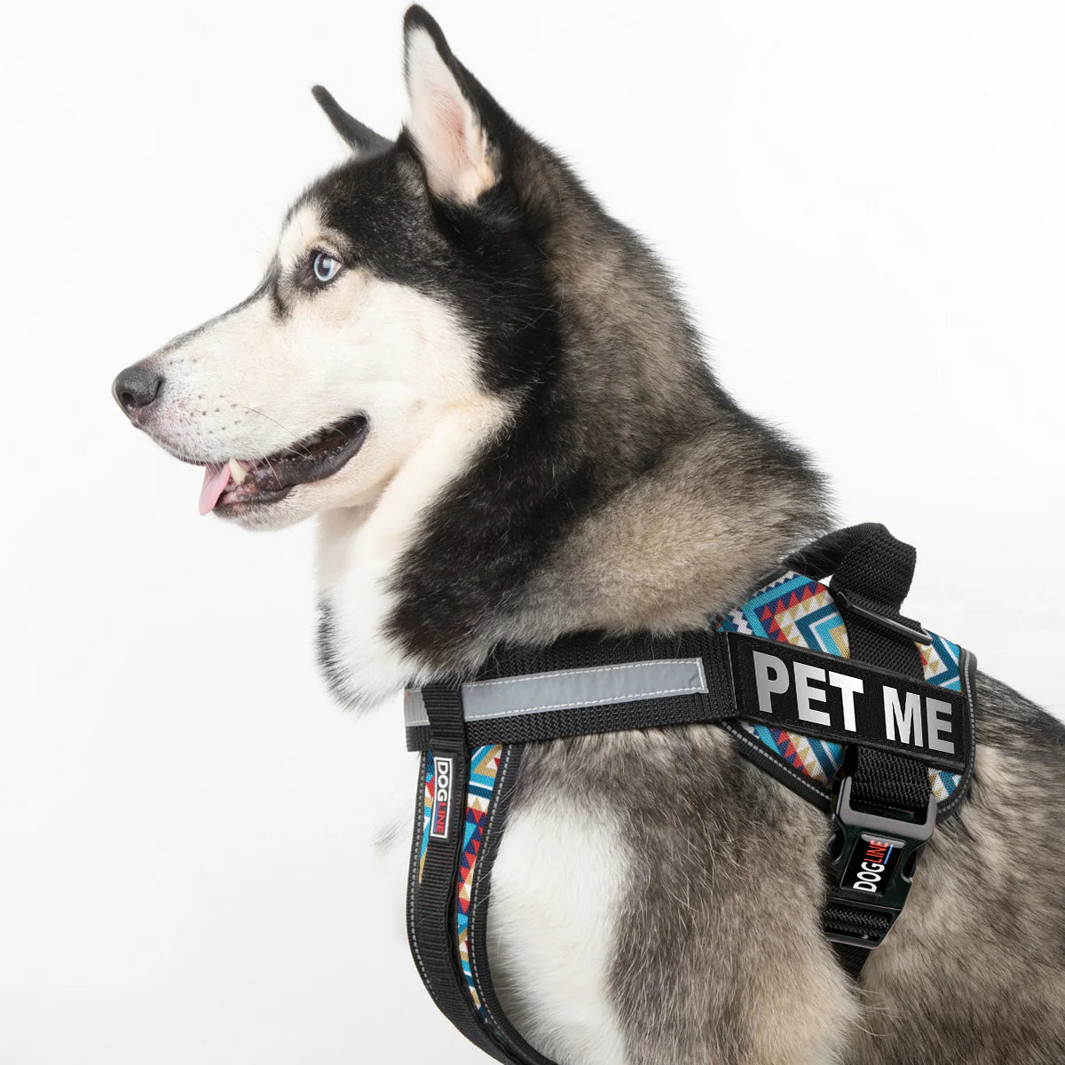 Personalized Dog Products