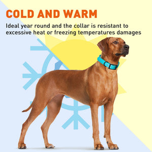 Dogline Biothane Waterproof Dog Collar with Black Hardware -  1.5" Wide, Size L (16 to 20 inches)
