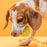 FDT Rubber Dog Ball on Rope, Medium - Diameter 2.3" (6 cm)