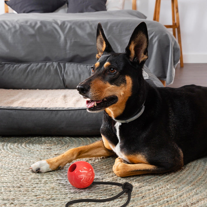 Rubber Euro Ball with Rope