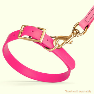Viper Biothane Waterproof Dog Collar - Brass Hardware - Size XS (9 to 12 inches)