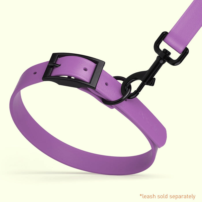 Biothane Waterproof Dog Collar - Wide - X-Large (20 to 24 inches)