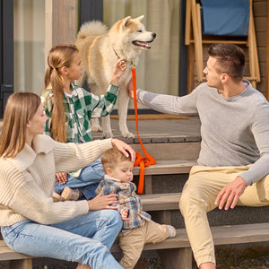 Biothane Working Dog Lead 33ft - Long Line Collection