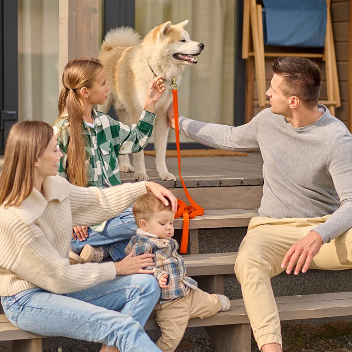 Biothane Working Dog Lead 33ft - Long Line Collection
