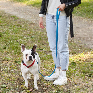 Biothane Waterproof Dog Leash 6 ft