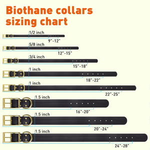 Viper Biothane Waterproof Dog Collar - Brass Hardware - 1.5in Wide, Size XXL (24 to 28 inches)