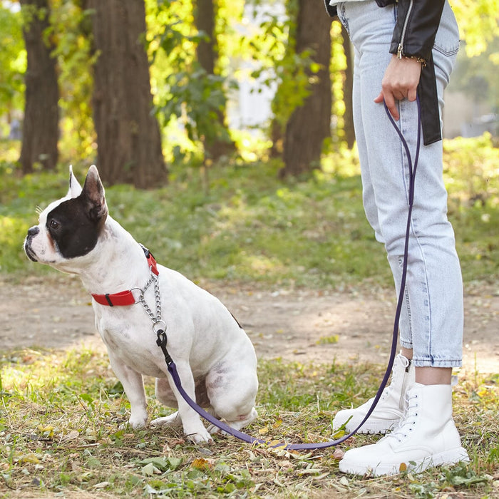 Biothane Waterproof Leash 2 ft