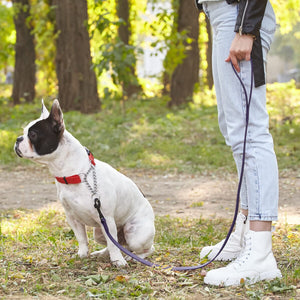 Biothane Waterproof Dog Leash 6 ft