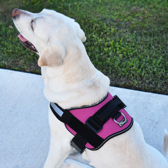 Unimax Multi-Purpose Harness