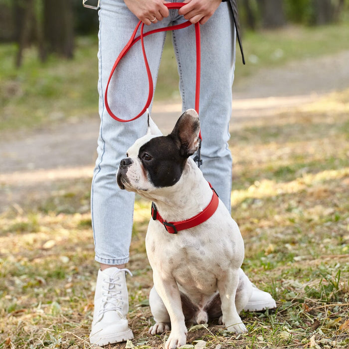 Biothane Waterproof Leash 2 ft