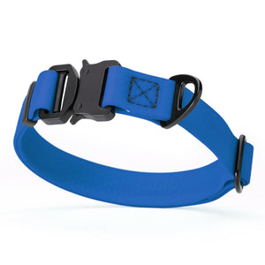 Blue dog collar with black metal buckle and D-ring, adjustable, smell resistant and waterproof