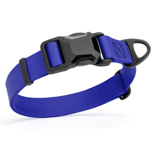 Blueberry waterproof dog collar with black magnetic buckle and metal D-ring, made from Biothane, 1 inch wide