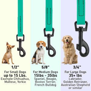 Biothane Waterproof Dog Leash 6 ft