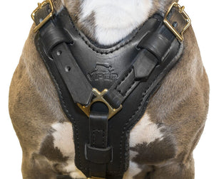 Viper Typhoon Leather Working Dog Harness