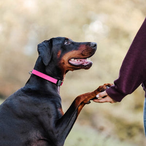 Sprenger Rubber Flexcover for Prong Collar