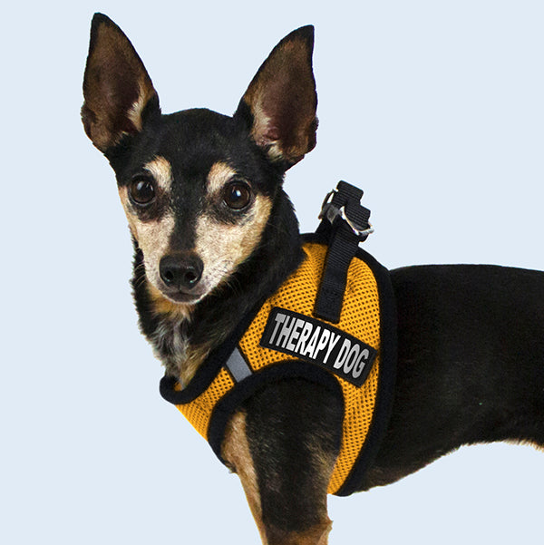 Dog Harnesses and Vests
