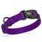 Nylon Flat Dog Collar