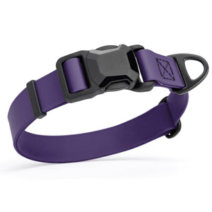 Violet Purple waterproof dog collar with black magnetic buckle and metal D-ring, made from Biothane, 1 inch wide