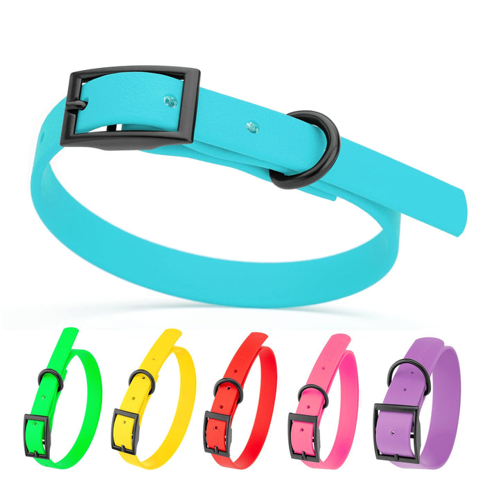 Biothane dog collars with black metal hardware, sizes from XS to XXL. Blue, green, yellow, red, pink, purple, and 20 other colors available