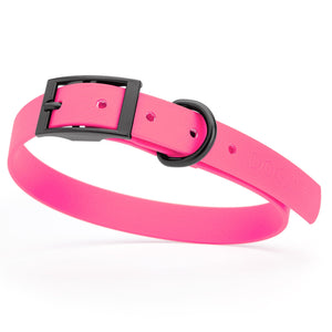 Passionfruit Pink Biothane dog collar with black buckle and D-ring, 3/4 inch wide, adjustable