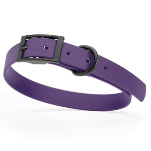 Violet Purple Biothane dog collar with black buckle and D-ring, 3/4 inch wide, adjustable