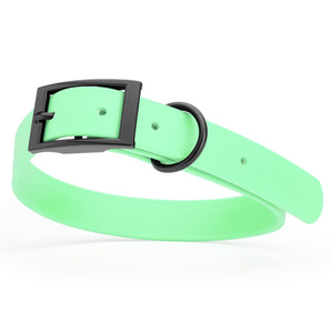 Waterproof Seafoam Green dog collar with belt buckle, 1 inch wide, made from Biothane