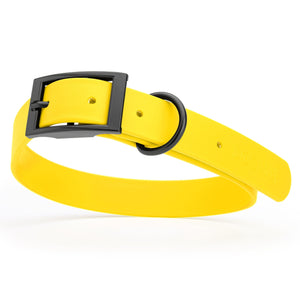 Waterproof Lemon Yellow dog collar with belt buckle, 1 inch wide, made from Biothane