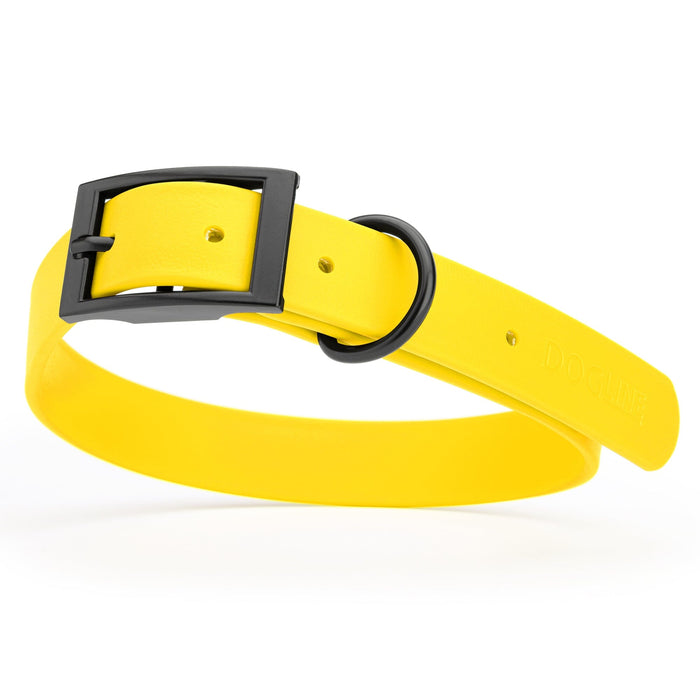 Waterproof Lemon Yellow dog collar with belt buckle, 1 inch wide, made from Biothane