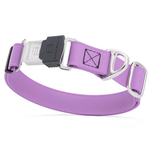 Amethyst Purple dog collar with silver Herm Sprenger buckle and metal D-ring, made from waterproof and odor resistant Biothane
