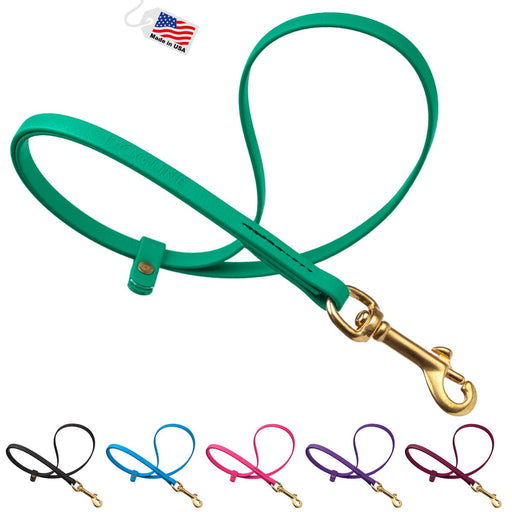 Biothane grooming loop for dogs with rust proof swivel clip, teal and 5 other color options