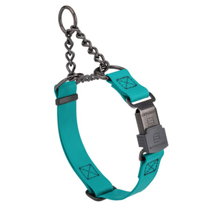 Teal Biothane martingale collar with black Herm Sprenger buckle and black hardware, 3/4 inch wide, adjustable