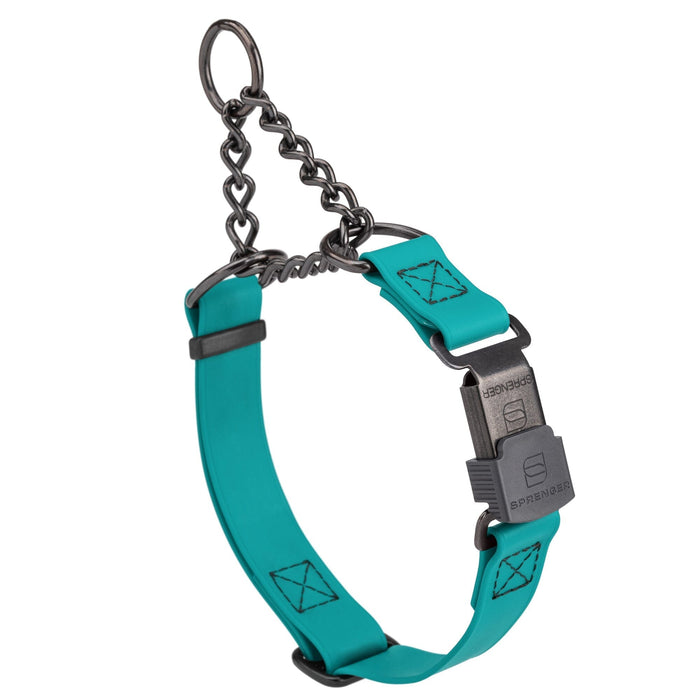 Teal Biothane martingale collar with black Herm Sprenger buckle and black hardware, 3/4 inch wide, adjustable