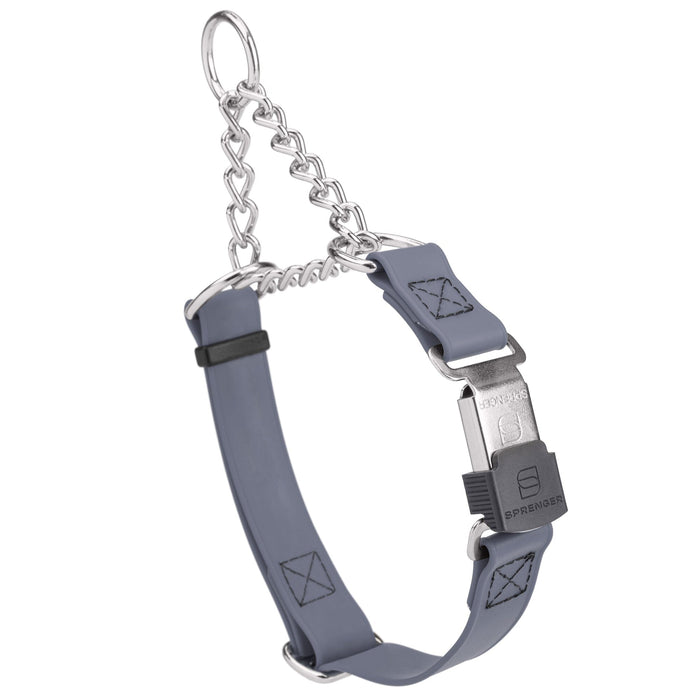 Battleship Gray martingale collar with silver Herm Sprenger buckle and silver hardware, 3/4 inch wide, made from Biothane