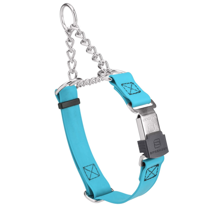 Sky Blue martingale collar with silver Herm Sprenger buckle and silver hardware, 3/4 inch wide, made from Biothane