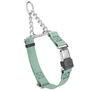 Sage Green martingale collar with silver Herm Sprenger buckle and silver hardware, 3/4 inch wide, made from Biothane