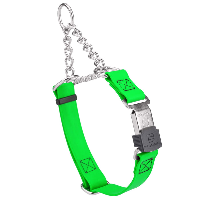 Tropical Green martingale collar with silver Herm Sprenger buckle and silver hardware, 3/4 inch wide, made from Biothane