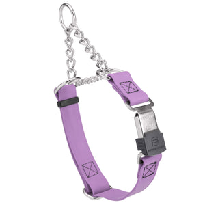 Amethyst Purple martingale collar with silver Herm Sprenger buckle and silver hardware, 3/4 inch wide, made from Biothane