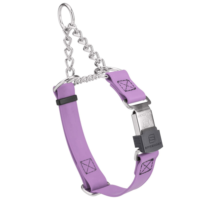 Amethyst Purple martingale collar with silver Herm Sprenger buckle and silver hardware, 3/4 inch wide, made from Biothane