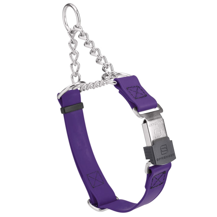 Violet Purple martingale collar with silver Herm Sprenger buckle and silver hardware, 3/4 inch wide, made from Biothane