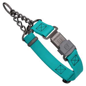 Teal Biothane martingale collar with black Herm Sprenger buckle and black hardware, 1 inch wide, adjustable