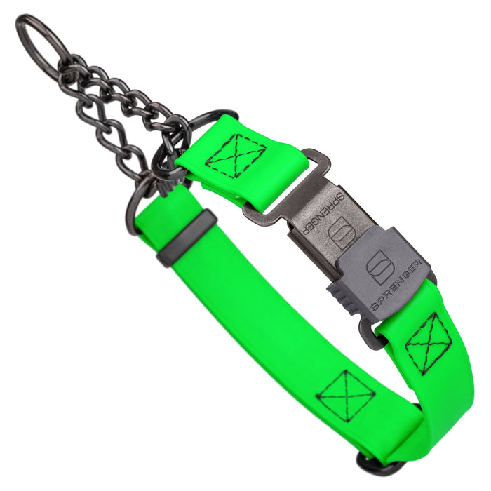Tropical Green Biothane martingale collar with black Herm Sprenger buckle and black hardware, 1 inch wide, adjustable