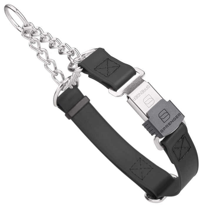 Black martingale dog collar with silver Herm Sprenger buckle and silver hardware, 1 inch wide, made from Biothane